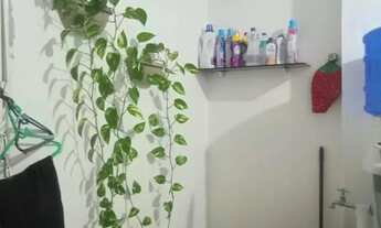 Imagem 6: Vendo apartamento no bairro Cidade Nova