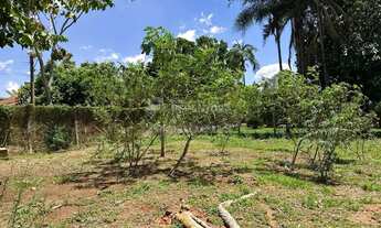 Imagem 4: Rural Chácara em São José do Rio Preto
