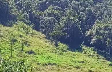 Imagem 2: Área aprox. 40.000 m2 em Vargem Alta, Nova Friburgo, RJ