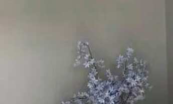 Imagem 2: Vendo casa no condomínio Viva + papagaio