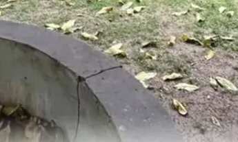 Imagem: Imóvel para venda com 70 metros quadrados