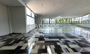 Imagem 4: Imóvel Comercial para aluguel, Jardim das Palmeiras - Uberlândia/MG