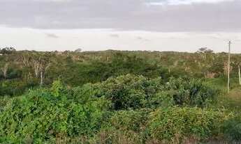 Imagem 5: Terreno frente de rua, no loteamento chacaras havana