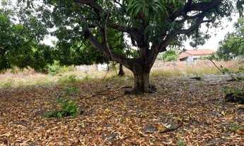 Imagem: VENDO EXCELENTE CASA SEMI CHÁCARA EM SANTO