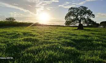 Imagem 4: Belíssimo sítio de 19.9t, com uma boa casa de 4/4 e piscina