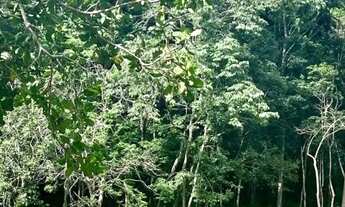 Imagem: Sítio para Venda em Teresina, Taboca do
