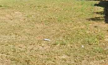 Imagem 2: LOTE PARA ALUGUEL NO FAIÇALVILLE