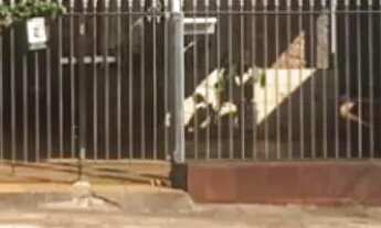 Imagem: Vende-se cada próximo ao Colégio Marista