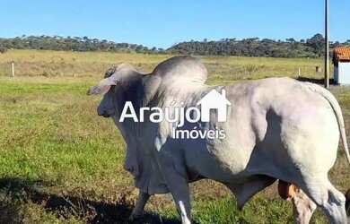 Imagem 4: Fazenda com 1 dorm, Centro, São João DAliança - R$ 12.5 mi, Cod: 2119