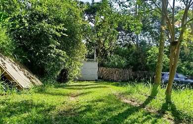 Imagem 5: Temporada Carnaval tranquilo