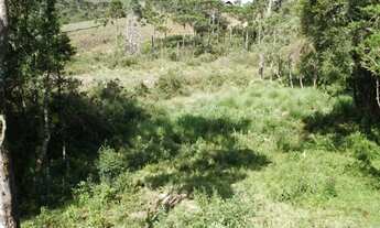 Imagem 7: Lote em Campos do Jordão - Vila Abernéssia - Campos do Jordão/SP