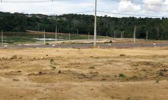 Imagem 5: Lotes Pronto para Construir Nova Manaus