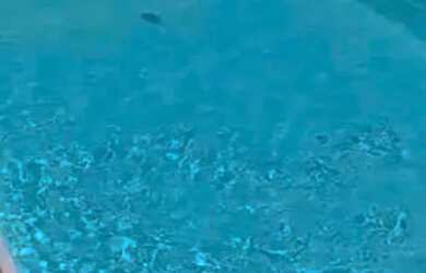 Imagem: Espaço de festa familiar