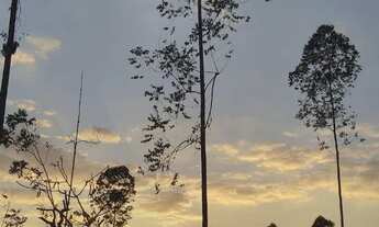 Imagem 3: Chacara em alexânia