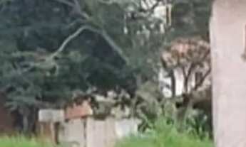 Imagem 3: VENDA TERRENO BORDA CAMPO- PRÓXIMO GAMIT MATERIAL CONSTRUÇÃO