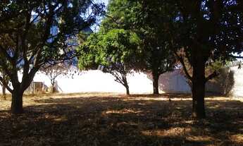 Imagem 4: Galpão - Parque Industrial Mogi Guaçu - Mogi Guaçu