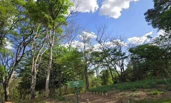 Imagem 7: Oportunidade incrível no Jardins Versalhes!