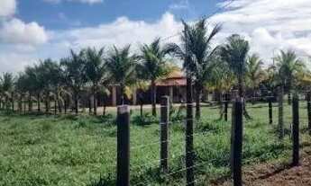 Imagem 6: Sítio de 33 hectares região da serra de sao Vicente.