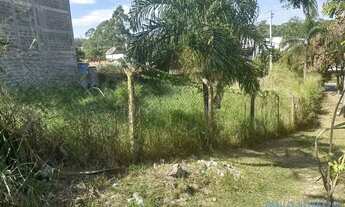 Imagem 3: TERRENO - JARDIM MADALENA - SP