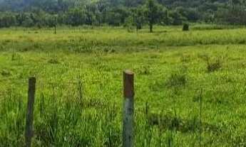 Imagem 5: Área Plaina de 181.000 m2 Via Dutra Km 181 Santa Isabel-SP