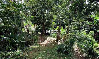 Imagem 2: Terreno à venda, 650 m² por R$ 320.000,00 - São Pedro da Serra - Nova Friburgo/RJ