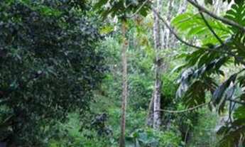 Imagem: Terreno no bairro Itaipuaçu