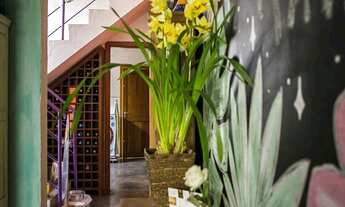 Imagem 7: Fazendinha - 3 Dorms/1 Suite - Rustica E Charmosa!