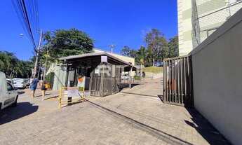 Imagem 1: Apartamento - Jardim Nova Europa - Campinas