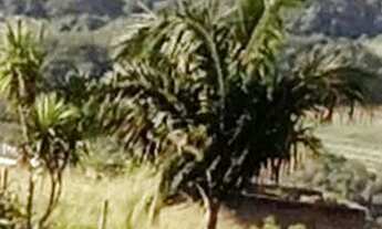 Imagem 3: Chacara em ibiuna