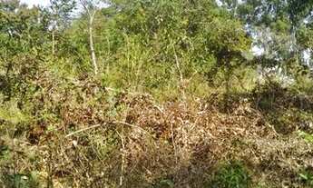 Imagem 4: Lote Caetanópolis 5000