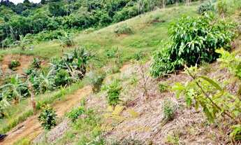Imagem 5: Lindo Sítio 20.000m² Zona Rural de Cachoeiras de Macacu