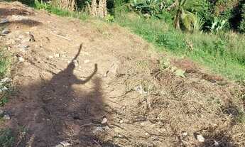 Imagem 5: Terreno no bairro de Valéria