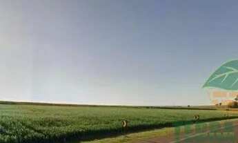 Imagem: Terreno à venda 1 Quarto, 14000M², Área