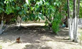 Imagem 5: Uma casa de um compartimento