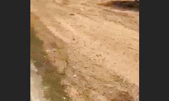 Imagem 3: Venda Galpão / depósito com venda por R$850.000