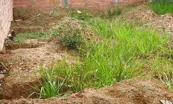 Imagem 4: Terreno no luar de Camaçari colorado