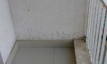 Imagem 5: Apartamento para Venda Jardim Nove de Julho São Paulo