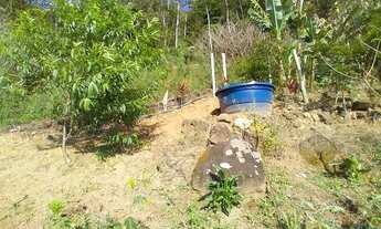 Imagem 7: Terreno para sítio
