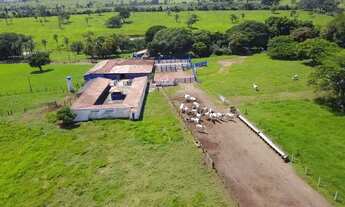 Imagem: Fazenda Extra 86 Alqueires de Cultura de