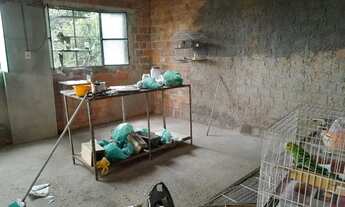 Imagem 5: Vende-se essa casa no B. Bentes