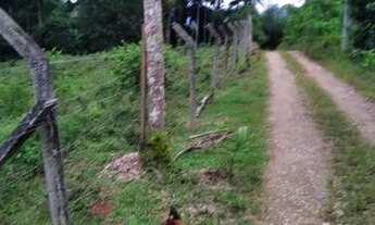 Imagem 2: Terreno pra chácara