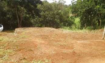 Imagem 3: Vendo chácara em crucilandia povoado cachoeira