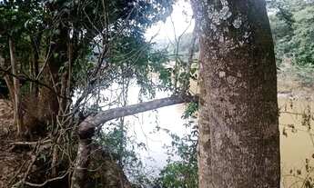 Imagem 4: Vendo terreno em barreiras com 4000m