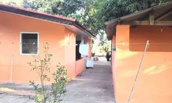 Imagem 4: SÍTIO 17 HECTARES FORMADO