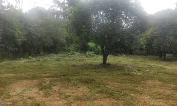 Imagem 4: TERRENO OPORTUNIDADE PARQUE PRADO JD IPE