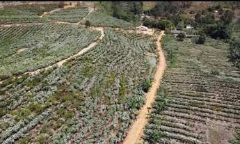 Imagem 6: Terreno a venda Fazenda / sítio com venda por R$2.350.000