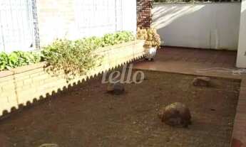 Imagem 3: São Paulo - Casa Comercial - Jardins