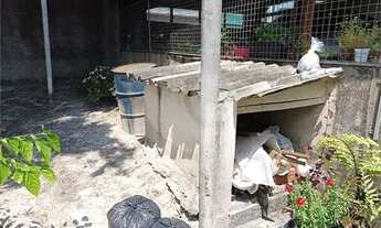 Imagem 7: Casa térrea para venda Vila Nova Galvão - São Paulo - SP