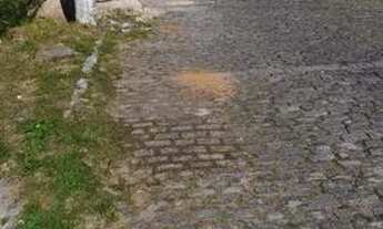 Imagem 4: Kitnet glória 550,00