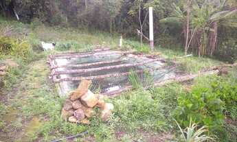 Imagem 2: Lugar Maravilhoso! Sítio com 3,5 Alqueires, Cachoeira e Terra Boa! Delfim Moreira, Sul de